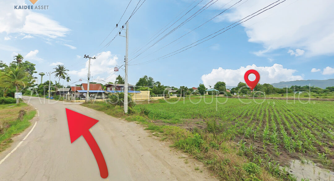 ที่ดิน วังไทร ปากช่อง ใกล้ เขาใหญ่ วังน้ำเขียว (4 of 5)