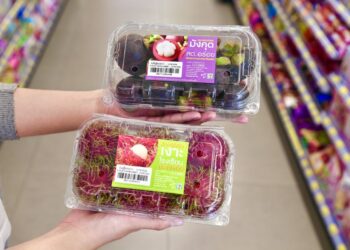 เซเว่นฯ ดันต่อเนื่อง! ชู “ไทย เบสท์ โปรดักส์” ตัวจริงผลไม้สดครบวงจร ลุยเสิร์ฟ เงาะ-มังคุด-ลองกอง 120 ตัน/เดือน ลงเชลฟ์พร้อมกันทั่วไทย