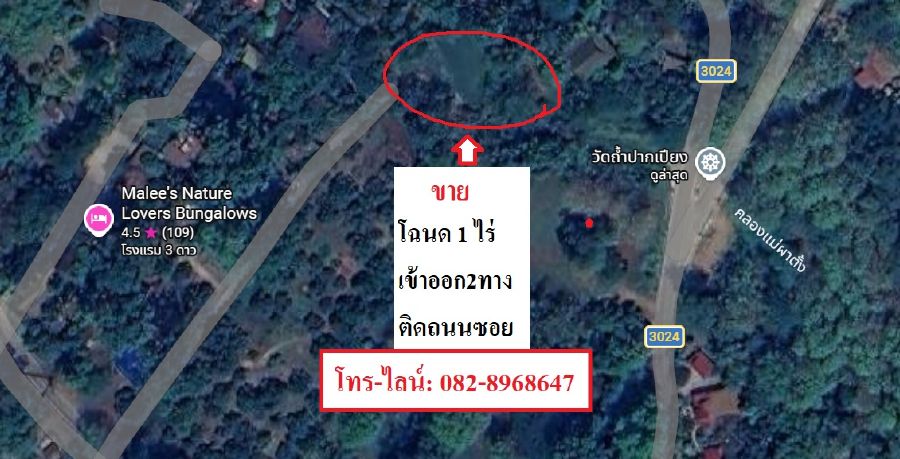 GoogleMap3