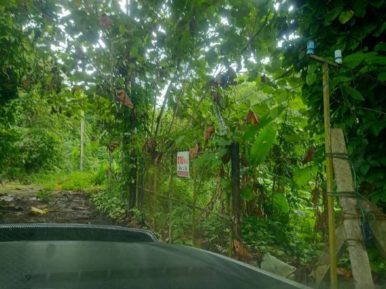 LINE_ALBUM_ป้ายขายสนาม SRIORAN CD_260729_1