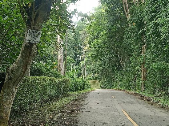 LINE_ALBUM_ป้ายขายสนาม SRIORAN CD_260729_2