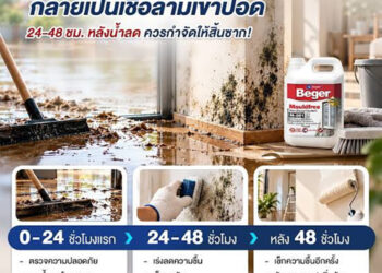 น้ำลด อย่าเพิ่งวางใจ! นักวิจัยเบเยอร์เตือน “เชื้อราในบ้าน” เสี่ยงกระทบสุขภาพ แนะกำจัดความชื้น–ทำความสะอาดให้ถูกวิธี ย้ำอย่ารีบทาสีทับคราบรา